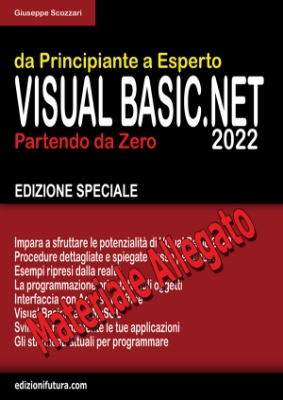 Visual Basic.NET 2022