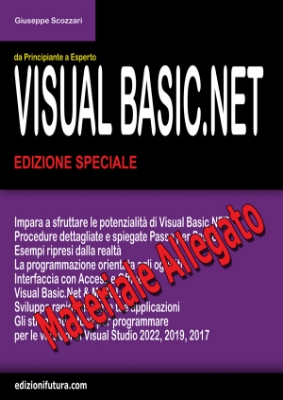 Visual Basic.NET 2022