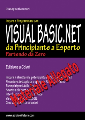 Immagine di Visual Basic.NET 2019 - Materiale allegato